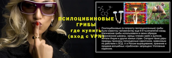 не бодяженный Арсеньев