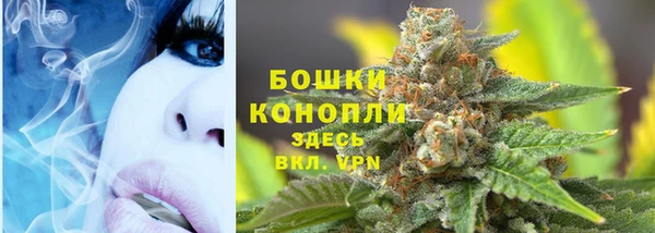 тгк Аркадак
